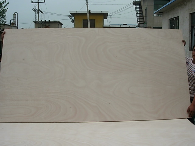 Commercial Plywood--Base Panel / Platform